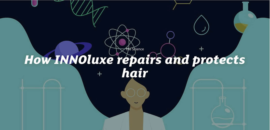 innoluxe cartoon banner